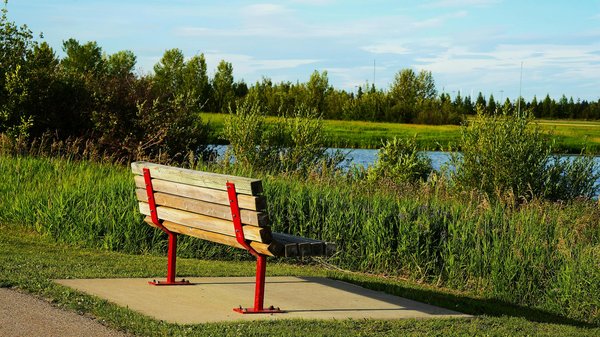 Comprendre la profession de psychologue